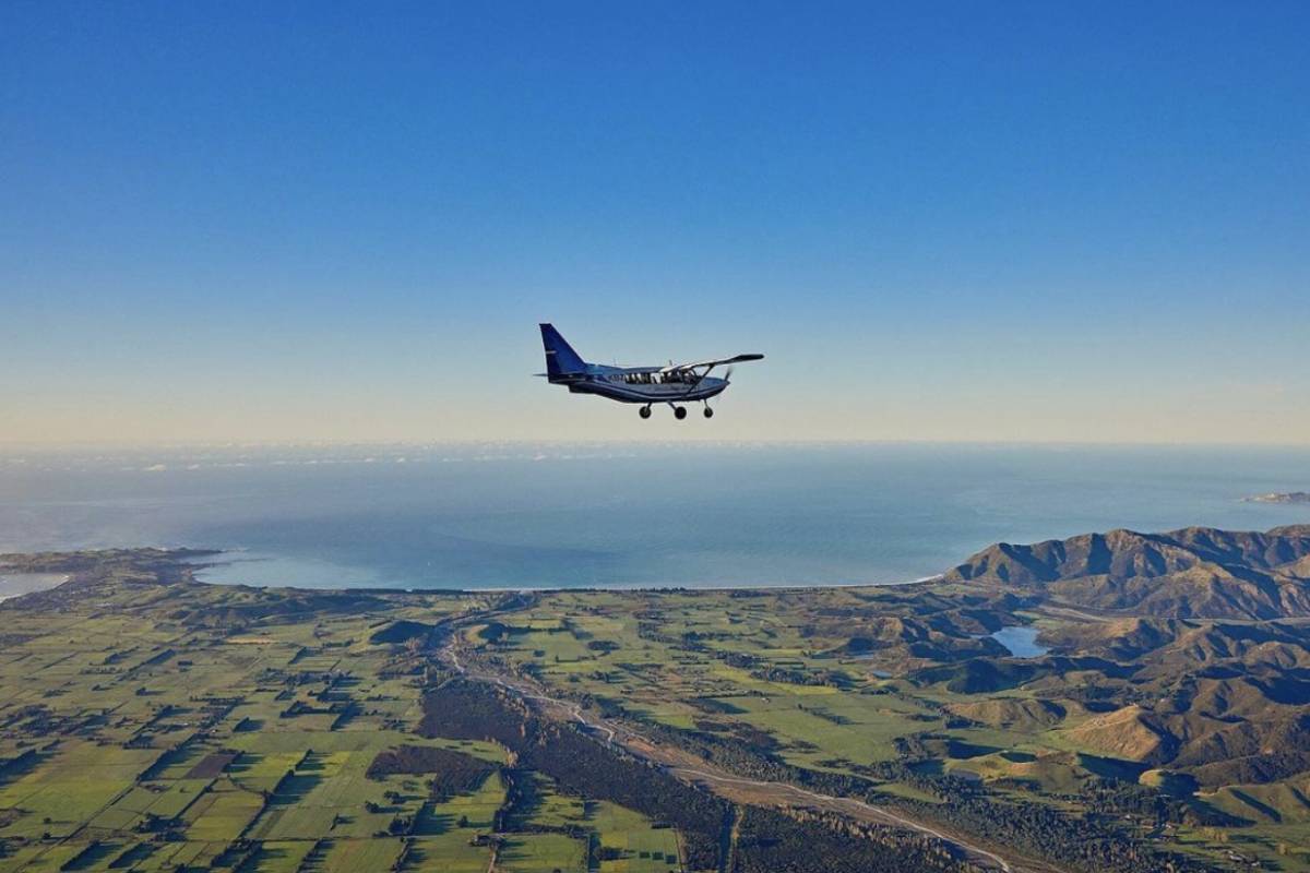 Whales by Air & Dolphins by Sea